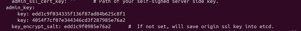 CVE-2022-24112 screenshot 3