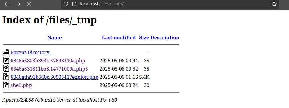 CVE-2025-24801 screenshot 8